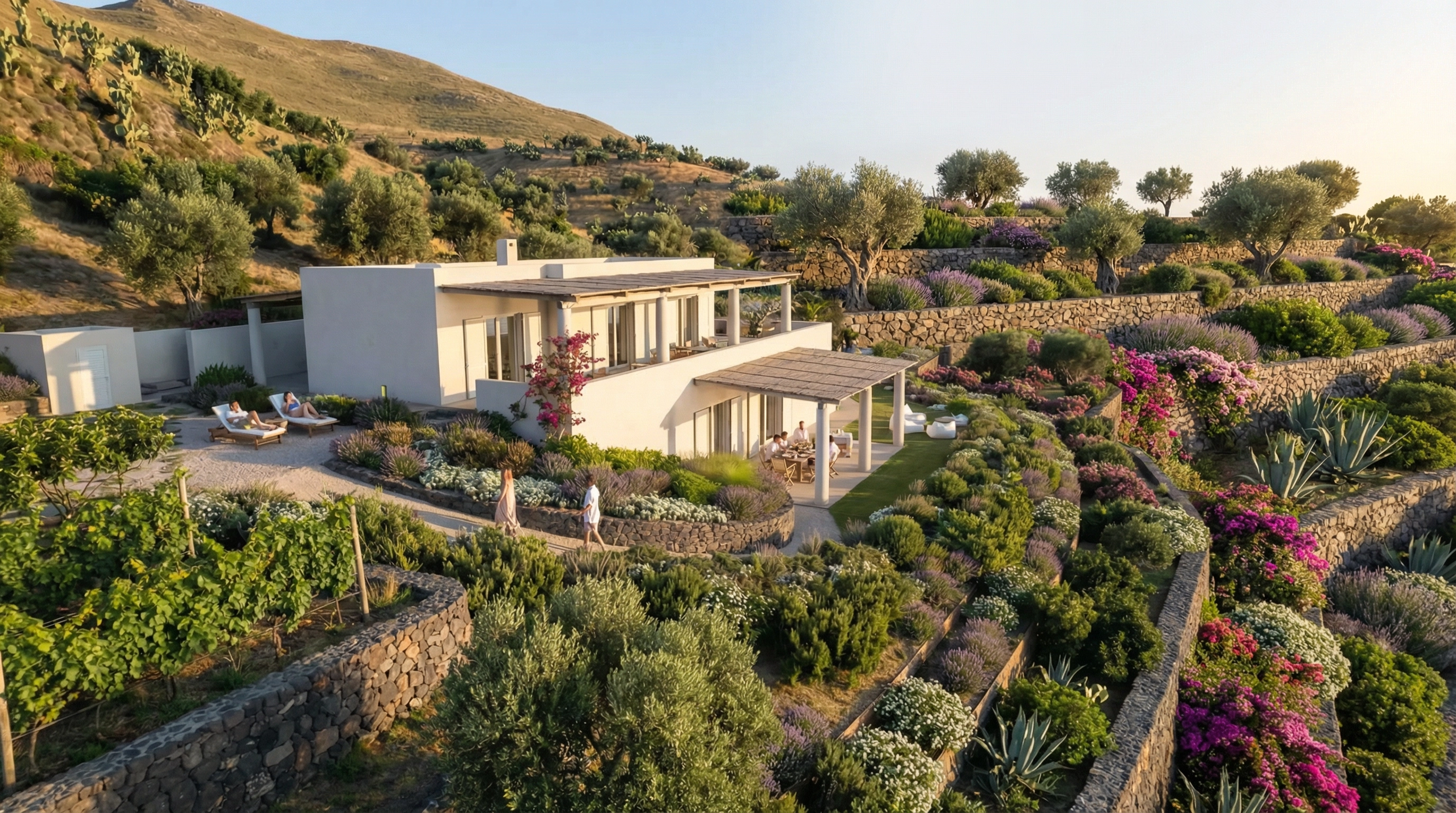 MGD Studio - Mediterranean Green Design Landscape